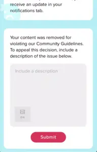 TikTok video removal - how to appeal